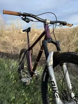 Hardtail photo 8