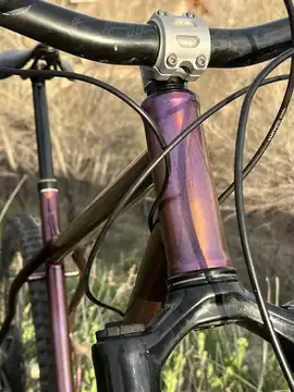 Hardtail photo 11